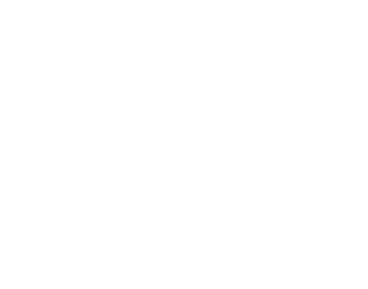 Feasibility report of the investment: technical, legal and economic. Cash-Flow projection. Operational chart Development. Ongoing projects Due Diligence. Risk analysis. Recruitment and contract Management. Project development. Engineering. Legal advice. Managing licenses and permits. Communication procedures elaboration. Budget setting. 